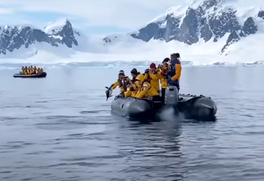 Пингвин запрыгнул в лодку к людям, спасаясь от касаток - видео - фото 1