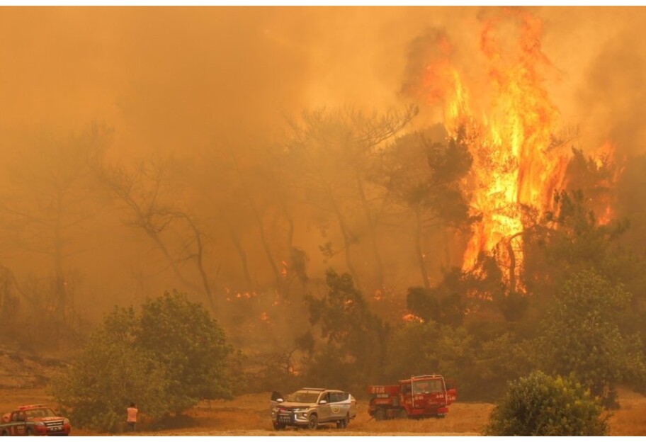 Пожары в Турции - новые фото и карта, жертв стало больше, эвакуируют туристов - фото 1