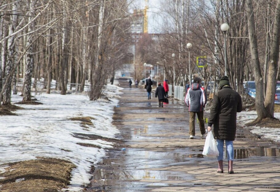 Погода в Украине зимой - будет ли много снега, прогноз Веры Балабух - фото 1