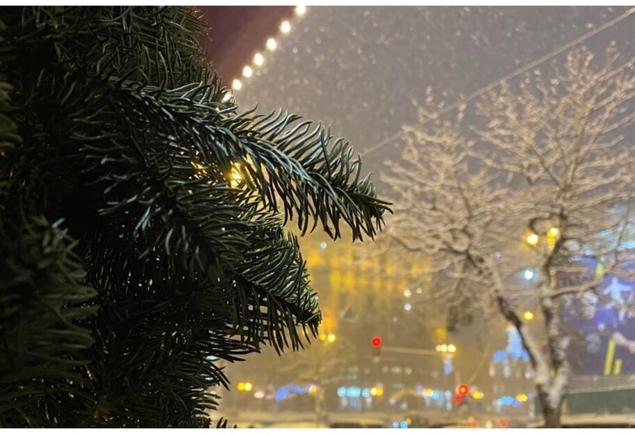 Снегопад в Киеве - какая погода будет на длинных выходных - фото 1
