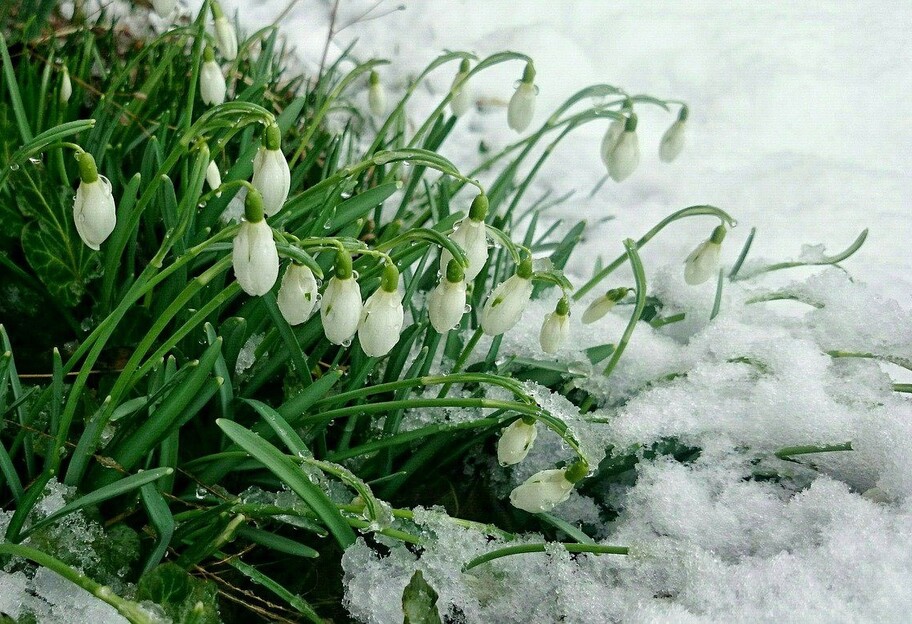 Весна в Украине начнется с похолодания - синоптики дали прогноз на начало марта - фото 1