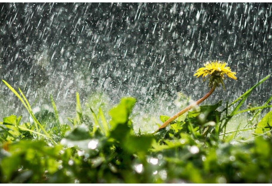 Погода на выходные 23-24 июля - в Украине будет дождь и жара - фото 1