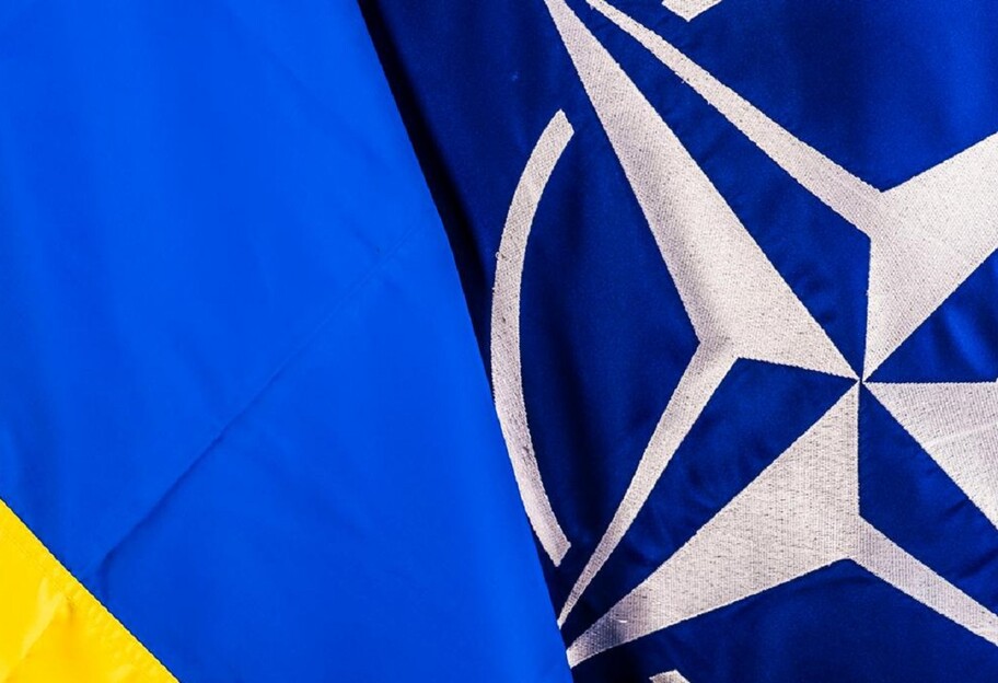 Заявка Украины на вступление в НАТО - эксперты оценили перспективы - фото 1