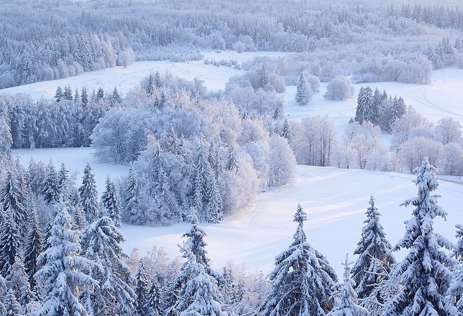 Прогноз погоды в Украине на зиму 2022-2023 - длительных морозов не будет - Укргидрометцентр - фото 1