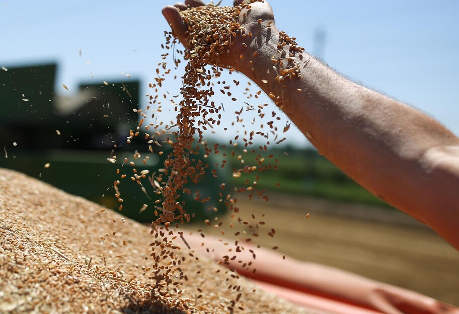 Зерновое соглашение - рф блокирует 2 млн тонн зерна, договоренность была сорвана заранее - фото 1