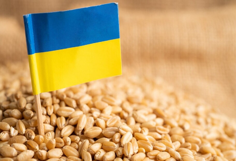 Зерновое соглашение - спикер МИД Николенко ответил путину на его заявление о гарантиях Украины  - фото 1