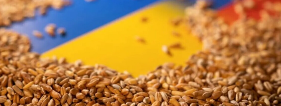 Лицензии на экспорт некоторых украинских агрокультур будут выдаваться только по согласованию Польши: детали