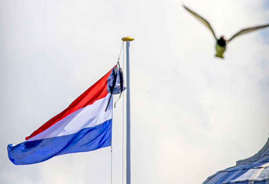 Нидерланды выделили более 4 млрд евро в помощь Украине - фото 1