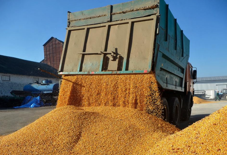 Импорт зерна из рф и Беларуси - из-за усиленного контроля ввоза аграрной продукции в Литву почти остановилось - фото 1