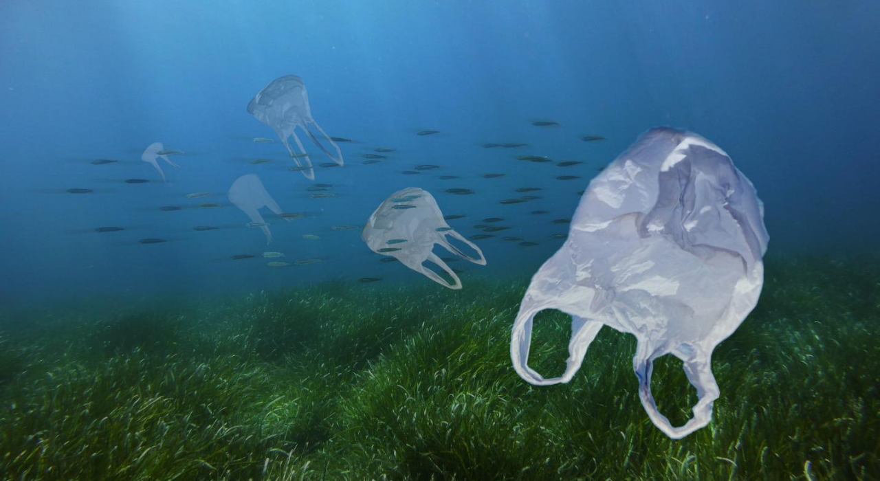 В США запустили систему для очистки океана от пластикового мусора - фото