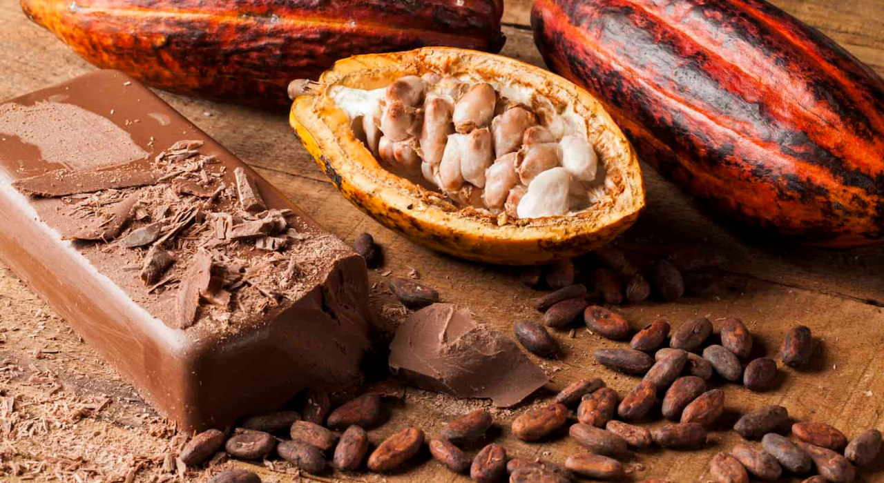 Шоколад под угрозой исчезновения: почему главное лакомство мира может стать дефицитом