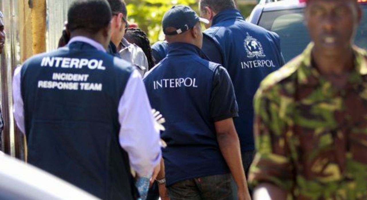 Новый президент Интерпола: в чьих руках на самом деле международная полиция?