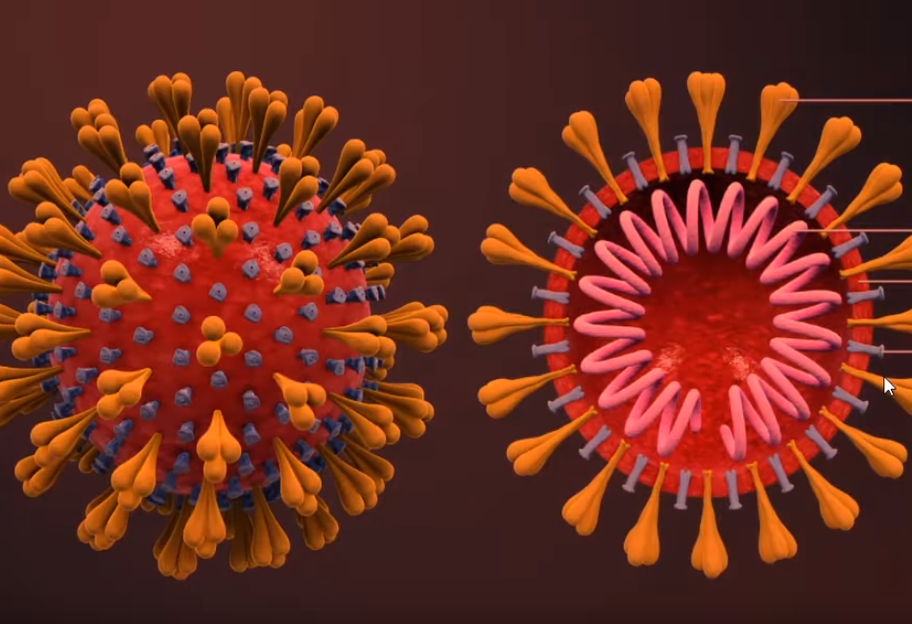 Пандемия коронавируса - что известно на 12 марта - карта, видео - фото 1
